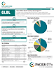 Pacer MSCI World Industry Advantage ETF Factsheet